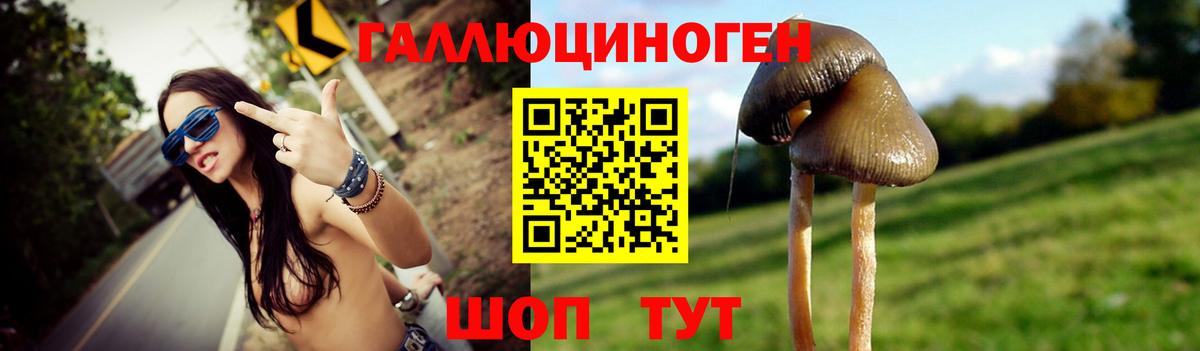 Альметьевск  Псилоцибиновые грибы MAGIC MUSHROOMS  Вход с VPN  как найти наркотики  Псилоцибиновые грибы MAGIC MUSHROOMS 